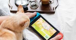 Cozy games redefine relaxation for a new generation of gamers