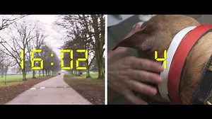 7K views · 138 reactions | Got a place for the #LondonMarathon? Make the experience extra special by joining #TeamPDSA and help sick and injured pets. For more info go to https://goo.gl/LHCWeU | PDSA | Facebook