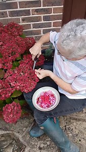 2K views · 121 reactions | Meet Niki, the incredible mum of Stephie from @stephieanndesign and the heart behind the blooms  Every single flower is grown in Niki’s garden in Sussex and then used in Stephie’s pressed flower workshops an kits in Brighton #grownwithlove #smallbusiness #supportsmall #uksmallbusiness #noths | notonthehighstreet | Facebook