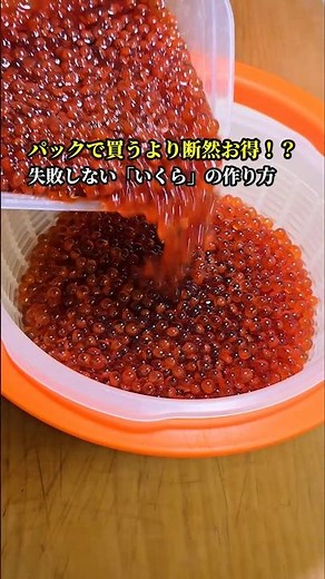 スーパーで買うより断然お得！？失敗しない「いくら醤油漬け」の作り方 #いくら #魚料理 #レシピ