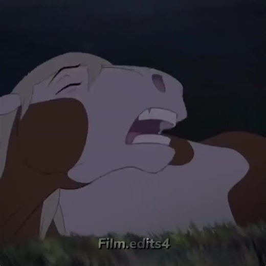 Horse Spirit Film Edit in the Rain