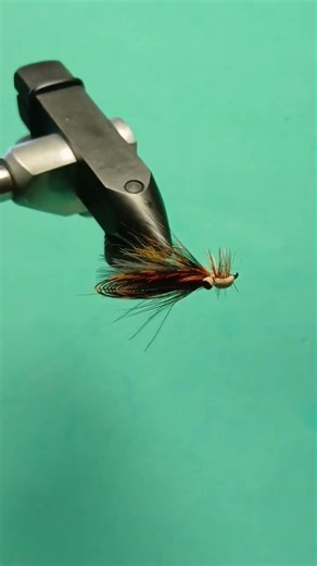 Caddis fly Italian Style Ston