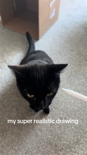 Bringing My Super Realistic Cat Drawing to Life