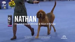 197 shares · 41 comments | Tune in to NBC tomorrow at 12:00 p.m. to...