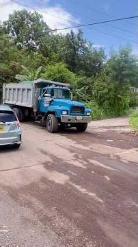 Testing Mack's Engine Brakes on a 20% Grade Hill