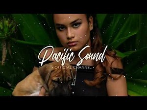 Busy signal case - MS19 x Gravix [ Afro chill ]