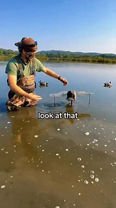 Replying to @Ryan M #duckhunting #tips #mojo #lu | Maximus2themax