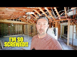 My HOUSE FLIP is Infested With Termites