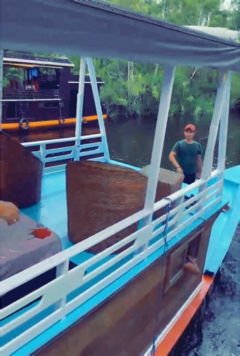 Orangutan Encounters in Borneo: A Unique Adventure