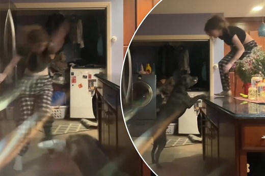 Knife-wielding dog chases Long Island woman in TikTok dance fail