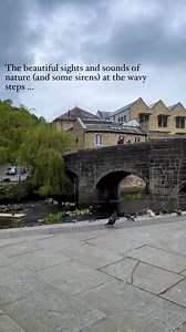 4.2K views · 141 reactions | One of a series of reels we will be uploading over the next few weeks! Here, i’m taking in a peaceful scene at the wavy steps, with the Old Packhorse Bridge in shot. ❤️ | Visit Hebden Bridge | Facebook
