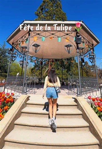 📍 La Fête de la Tulipe à Morges ✨🌷 Du 27 mars au 10 mai 2026, le Parc de l’Indépendance accueille plus de 140’000 fleurs et près de 350 variétés de tulipes dans un décor magnifique au bord du lac Léman. Cette année, le thème est “Contes et Légendes”. 🌷 À voir sur place : • Les massifs de tulipes multicolores partout dans le parc • Les créations florales thématiques inspirées des contes • La promenade au bord du Léman avec vue sur les Alpes • Les rues fleuries et le centre historique de Morges