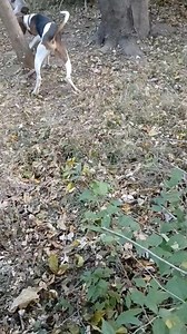 Dave Collins on Reels | Facebook