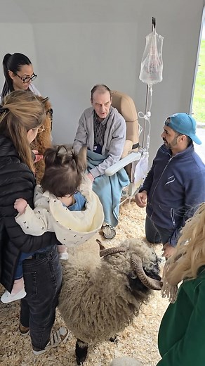 23K views · 1.7K reactions | Quoi de plus beau que la relation entre...