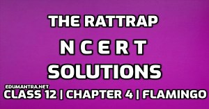 The Rattrap NCERT Solutions Flamingo Class 12 Ch- 4 English Core