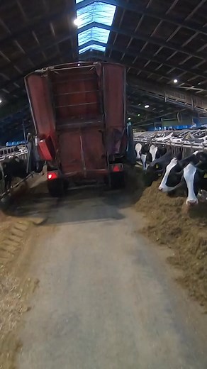 4K views · 50 reactions | Automatic Cow Feeding Machine | Julie J | Facebook