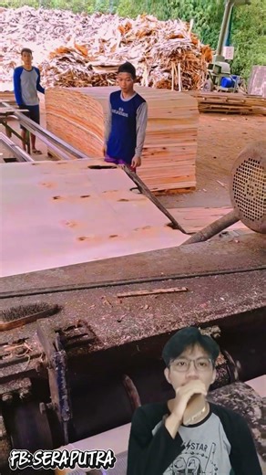 Wood Veneer Production Activities in the Factory Area #shorts #venners #wood #production