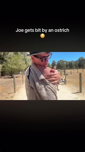 Joe Sugg's Hilarious Encounter with an Ostrich