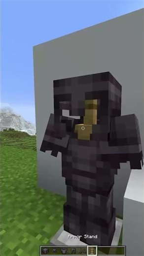 armour #minecraft #fyp #shorts