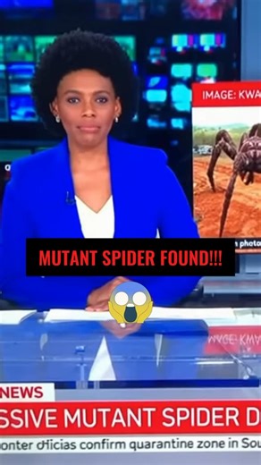 StrangeAI on Instagram: "BREAKING: Mutant Giant Spider Found in Jungle 😱🕷️ A shocking discovery deep in the jungle — villagers stumble upon what appears to be a mutant giant spider, unlike anything ever recorded. This unbelievable footage has viewers around the world asking the same question… WHAT is this thing?! Is it a creature mutation? A species we’ve never seen before? Or something far more terrifying? Watch the full clip and decide for yourself — and don’t forget to LIKE, COMMENT, and SU
