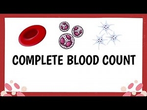 Complete Blood Count (CBC) | Components, Low & High Results + LoFi Vibes