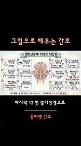 시험 전 필수 시청! 12뇌신경 1분 컷 암기 팁 #간호조무사시험 #간호조무사자격증