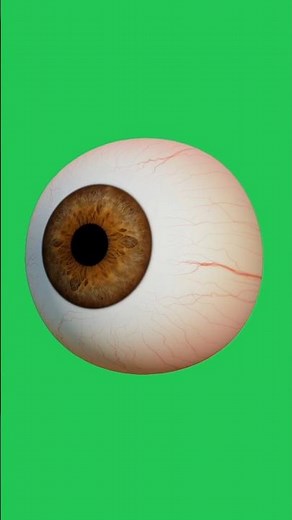 eye green screen video 4k//green background chroma key video
