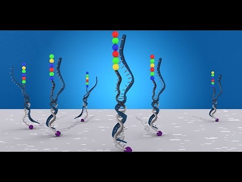 nCounter Technology by NanoString - Direct Detection for Gene and Protein Expression Profiling