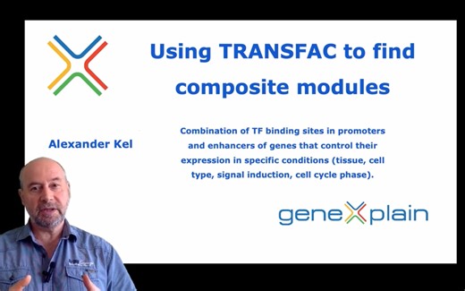 转录因子结合位点组合分析
