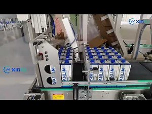 Automatic Wrap around case packer for 1 Liter Tetrapak box for beverage industry in Europe with CE