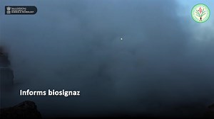 1.7K views | #OneDayOneResearch A breakthrough by Birbal Sahni...