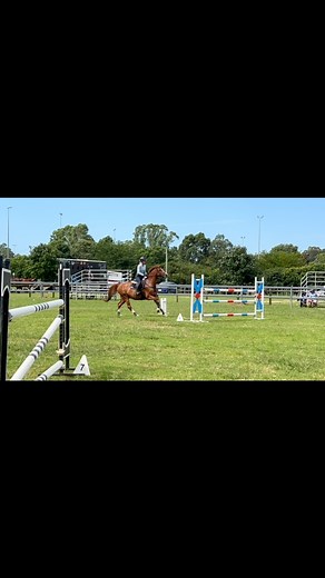 1.9K views · 52 reactions | Love these 2 ginger’s! Chupa Chup and Springsteen enjoying a jump today at Camden 殺 Of course Chup is the favourite but Bruce is pretty close! | Shenae Lowings Eventing | Facebook