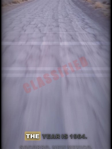 Case #006 — Socorro, New Mexico (1964) In 1964, Socorro Police Sergeant Lonnie Zamora reported observing a flame in the sky while on patrol. Investigating the area, he encountered a shiny, egg-shaped object on the ground and observed two small, white-clad figures nearby before the object departed with a loud roar. The incident was investigated by the United States Air Force under Project Blue Book. Investigators documented landing impressions in the soil and burned vegetation at the site. The wi