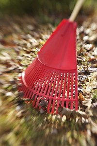 How to Rake Leaves Out of Bushes