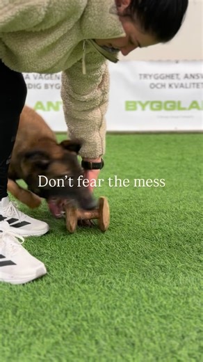 Alba @ SANE IS BORING Education | I know that it’s scary, and no one admits that there’s sometimes a wildly ugly and messy part of training. We panick and somehow we think... | Instagram