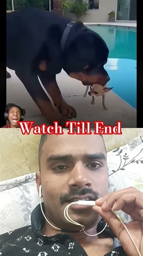 Dogesh Bhai Family #pets #funny #success #inspiration #motivation #keşfet #comedy #shorts #trend