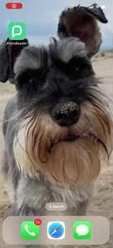 How to Sign In to the PressReader App