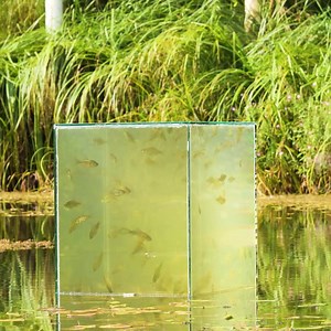 933K views · 2.1K reactions | Awesome Fish Tank On a Pond! Thanks for watching! Please be aware that this video is for entertainment purposes only and techniques shown should not be attempted at home! | Science, Tech and Universe | Facebook