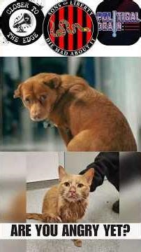 Who's Surprised ICE Hurts Animals? Just Like Kristi Noem