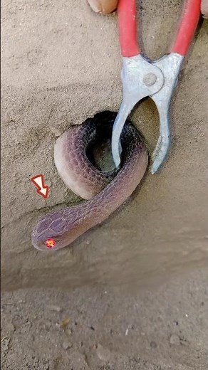 electric rubber snake home locked skills 😱