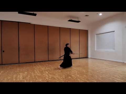 All Japan Kendo Federation Seitei Iaido Kata 1 - 12 Practice Session 1