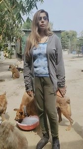 877K views · 10K reactions | #Animals #don't #spread #Corona #Virus. #In #fact #feeding, #giving #water #to #stray #animals #can #add #to #your #longevity, #health #and #happiness. #Good #Karmas #build #the #immune #system.  For help speechless souls u can contact me on WhatsApp 9911911757 | HOPE 4 speechless souls" " Hope care centre" | Facebook