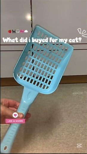 What did I buyed for my cat 🐈‍⬛🍓#cat #catvideos #catlife #fypシ゚viral #kittytv #kitty #cathouse