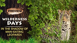 212K views · 152 shares | Here’s an early preview of the latest episode of #WildernessDays with #TomAlter, where we look at the lives of people in rural Uttarakhand and how they deal with living close to man-eating tigers. Watch the full episode to know their stories, tonight at 10:30 pm on #EPICChannel. | The EPIC Channel | Facebook