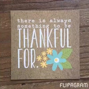 86 reactions · 8 comments | The Pumpkin Spice SN@P! Pack is chock full of yummy goodness, including 3x4 and 4x6 cards, 2x2 and 4x4 cards and Bits & Pieces. This is just a snippet of what's included! In stores now :) | Simple Stories | Facebook