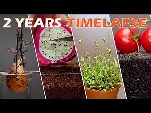 TOP 32 most beautyful timelapse I've ever seen in 30 mins