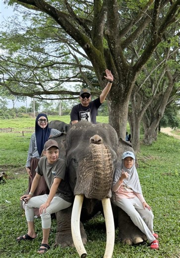 Ting ting bareng Mr.Bankin 🐘