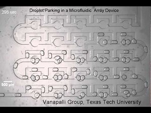 Droplet Trapping in a Microfluidic Device