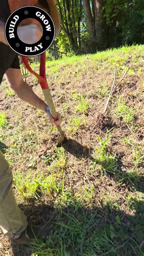 Steep Slope Currant Planting #hummingbird #garden
