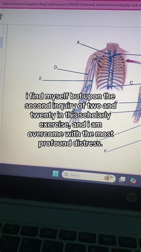 Labeling Anatomy for Nursing Students: A Challenging Task